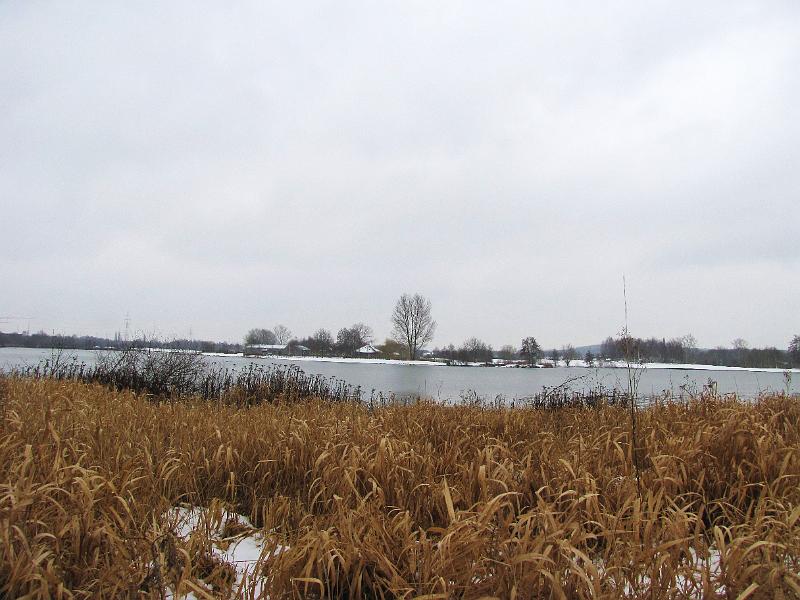Wandeling De Paalse Plas 24-2-2013 (22).JPG
